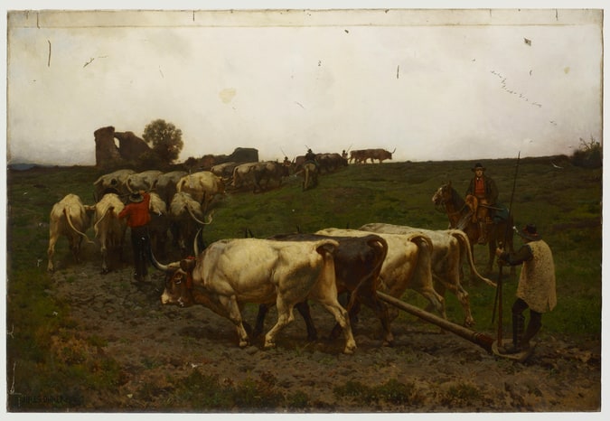 Labourage sur les ruines d'Ostie