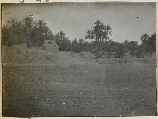 Vue de Biskra