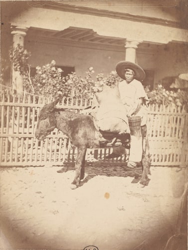 Paysan mexicain à dos d'âne