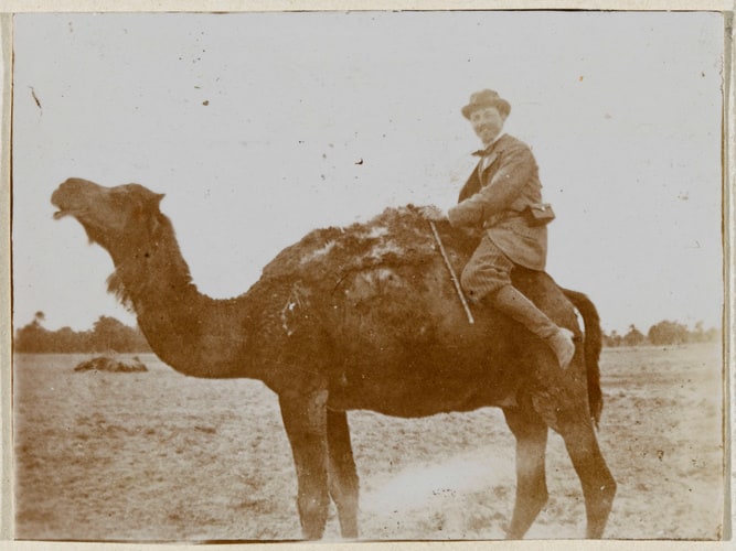 Homme assis sur un chameau