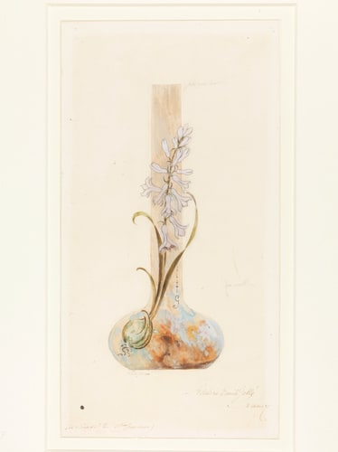 Vase à la jacinthe