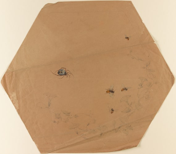 Toile d'araignée hexagonale