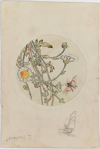 Marguerites et papillon dans un médaillon