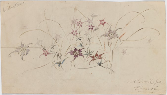 Oeillets et graminées