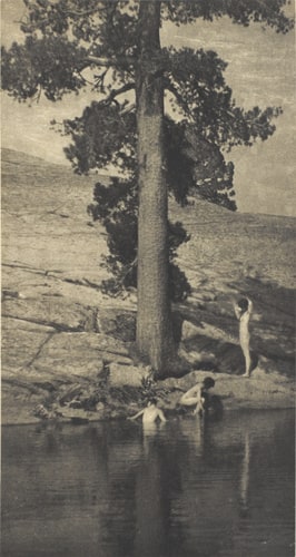 The Pool