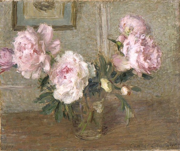 Pivoines chinoises