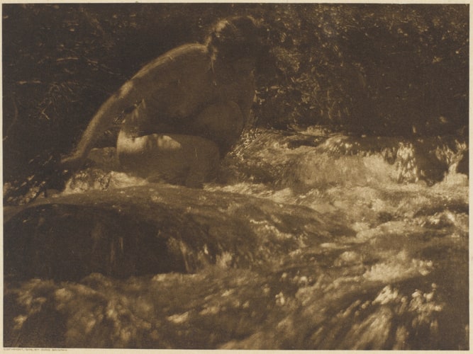 The Brook