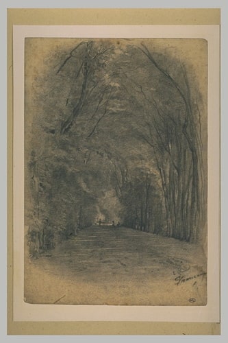 Allée dans un parc