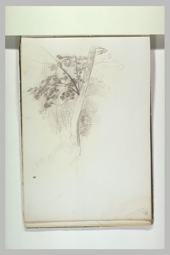 Etude d'arbre