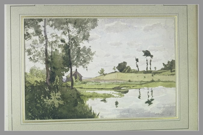 Rivière bordée d'arbres
