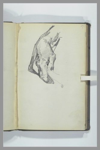 Etude de main