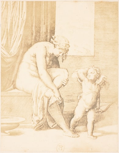 Vénus sortie du bain
