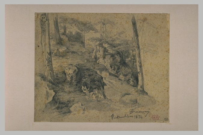 Rochers et arbres dans la forêt de Fontainebleau