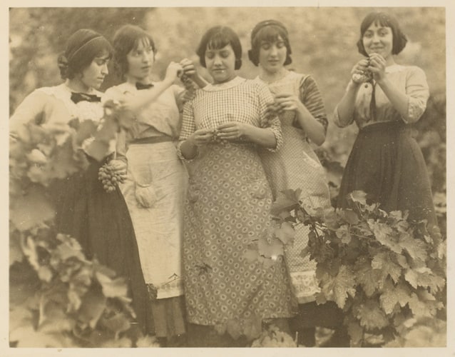 Cinq jeunes filles aux raisins, dont Josée Haviland, Céret, 1914