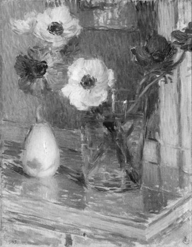 Fleurs, anémones