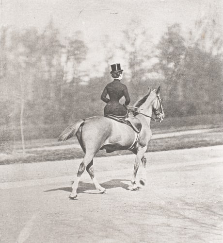 Mlle Bianca