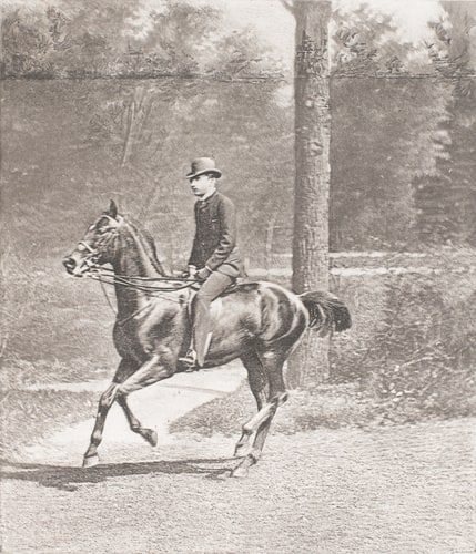 Mr le vicomte Maurice de Camondo