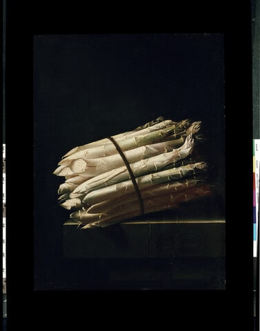 Still Life of Asparagus