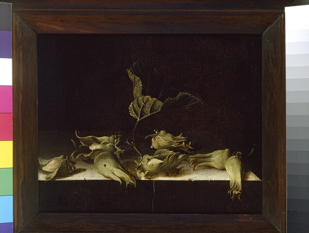 Still Life with Hazelnuts