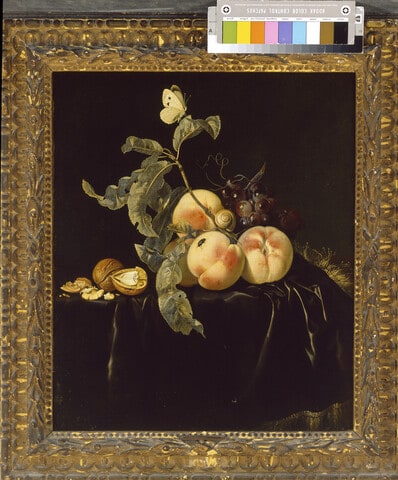 Still Life of Fruit