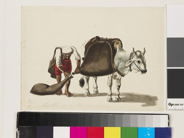 Water-carrier