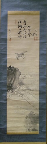 Bird flying over water