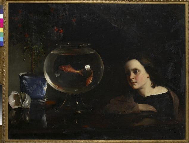 The Goldfish Bowl