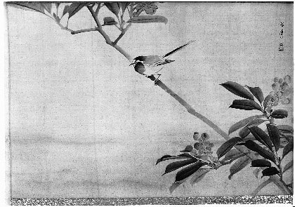 Wagtail on a branch with berries
