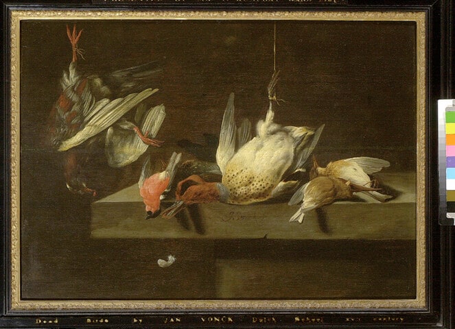 Still Life of Dead Birds